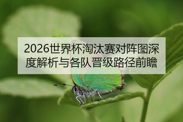 2026世界杯淘汰赛对阵图深度解析与各队晋级路径前瞻