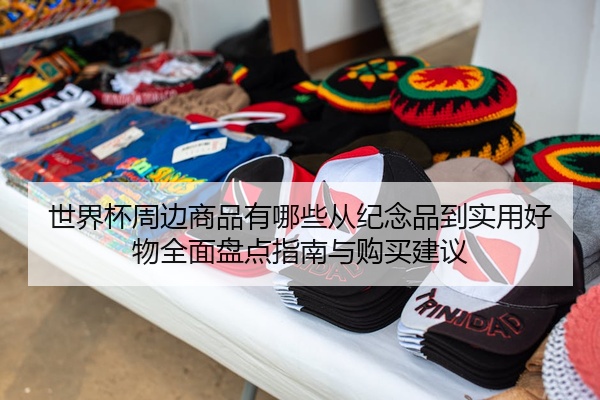 世界杯周边商品有哪些从纪念品到实用好物全面盘点指南与购买建议