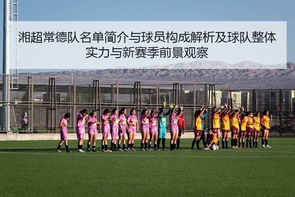 湘超常德队名单简介与球员构成解析及球队整体实力与新赛季前景观察