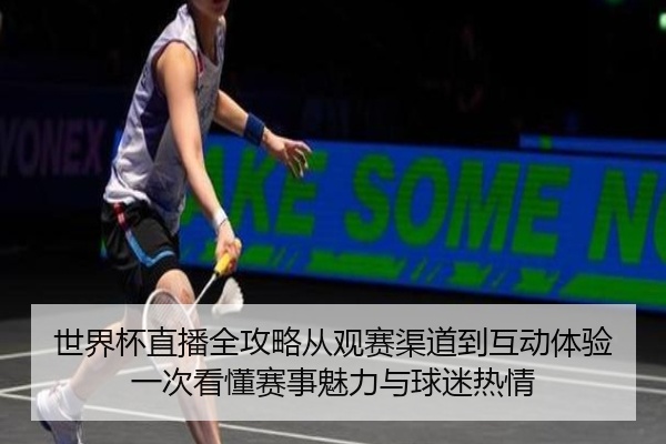 世界杯直播全攻略从观赛渠道到互动体验一次看懂赛事魅力与球迷热情