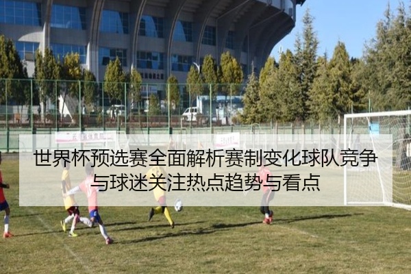 世界杯预选赛全面解析赛制变化球队竞争与球迷关注热点趋势与看点