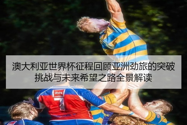 澳大利亚世界杯征程回顾亚洲劲旅的突破挑战与未来希望之路全景解读